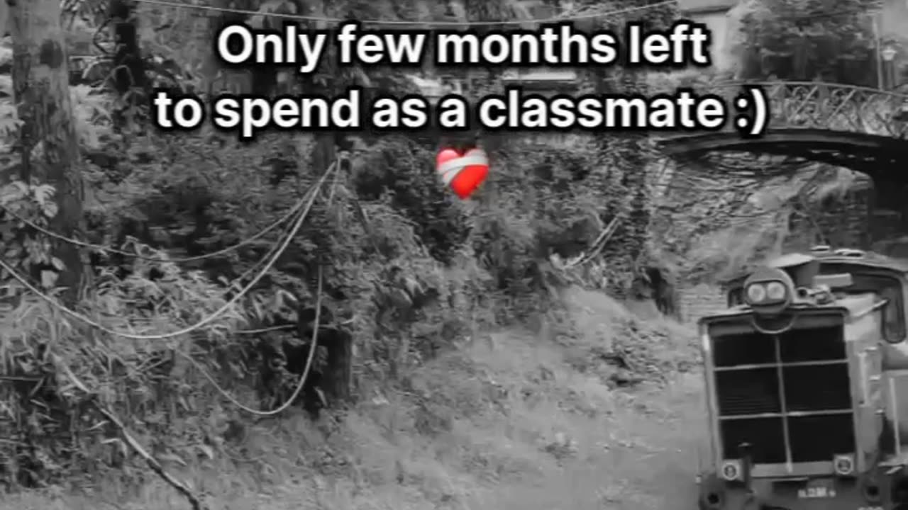 Trending funny video