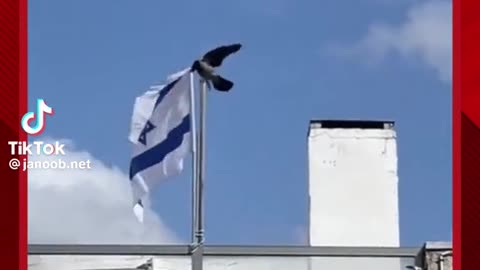 The Crows and Isreal!
