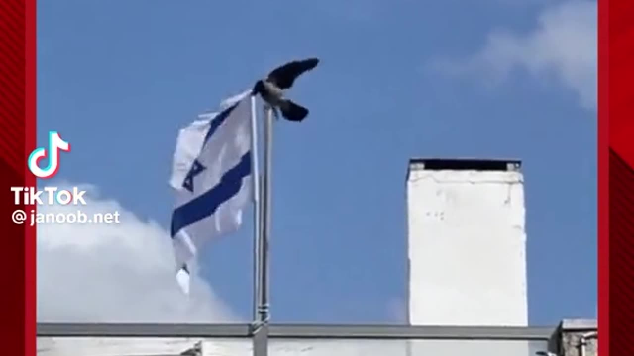 The Crows and Isreal!