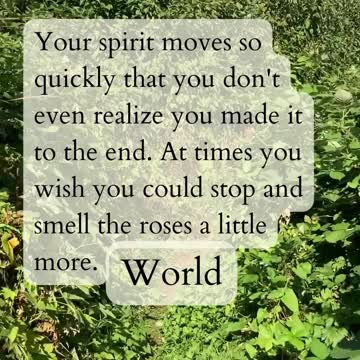 World to 6 of Wands 2022-11-22