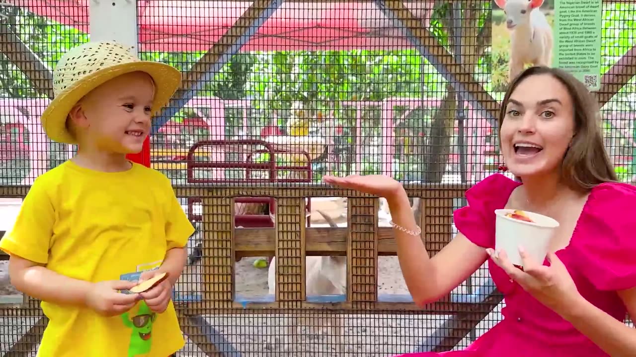 Chris and Alice feeding animals at the farm