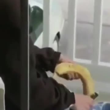 WOMEN HA HA HA 😂 Women vs Banana