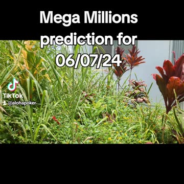 Mega Millions prediction for 06 07 24