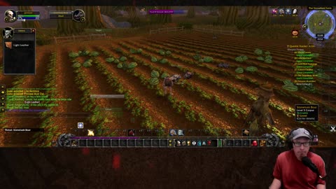 Hevel - WoW Classic Hardcore Leveling Various Classes