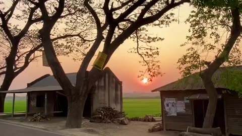 Sunset Natural Beauty