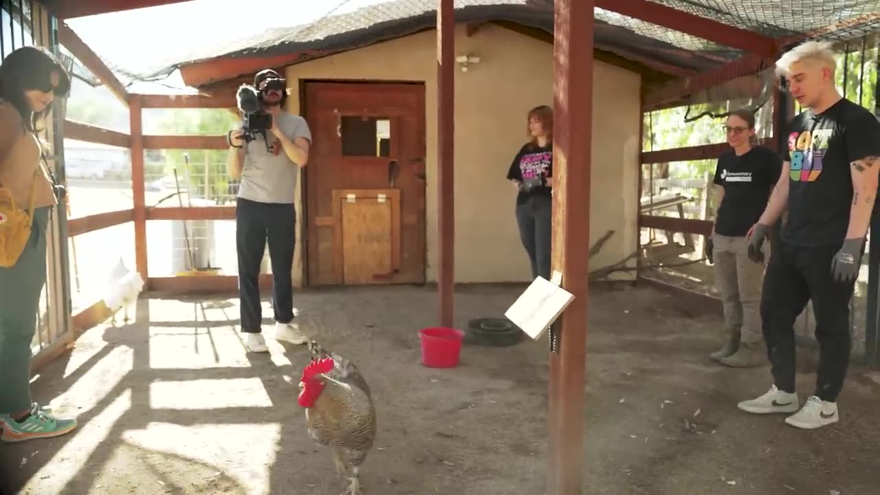I Worked on a Farm for a Day