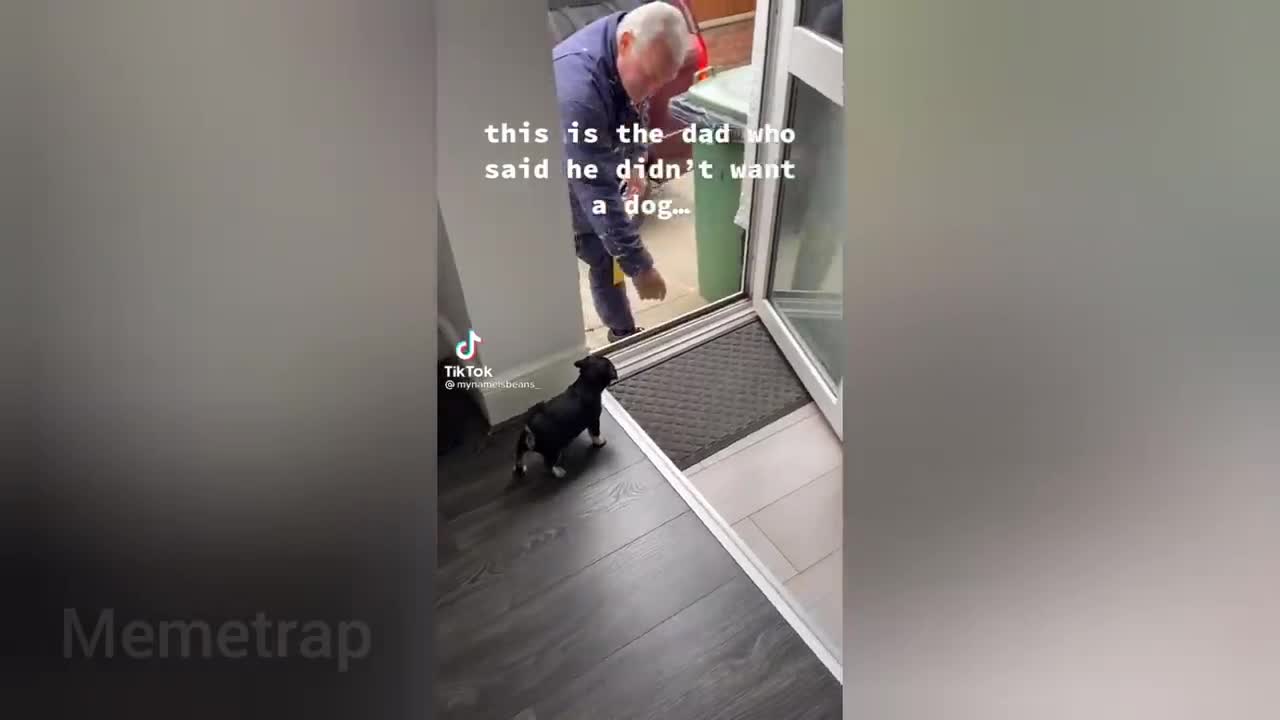 Tok-tok memes that keeps me up at 3 am laughing