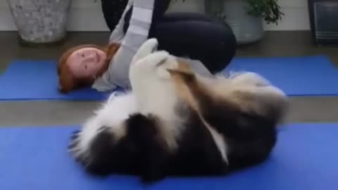 Cute cat & dog video | Best funny amazing video |