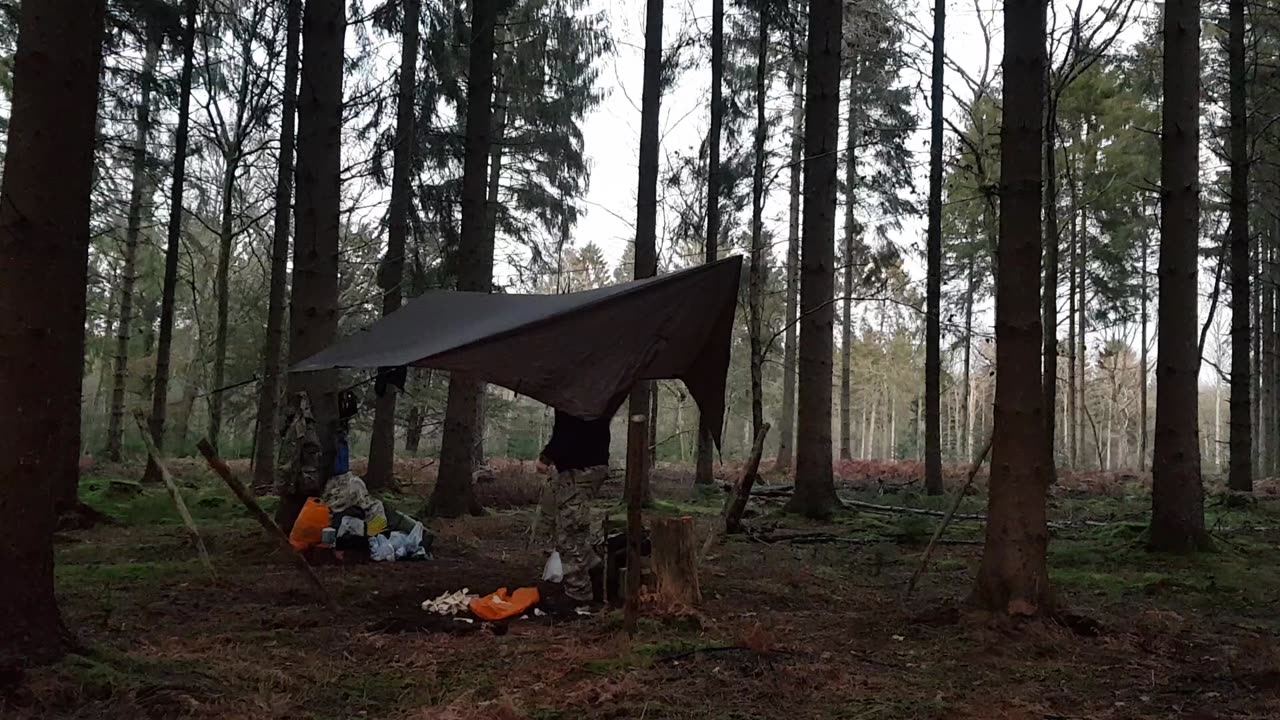 DD hammocks 3x3 tarp. Woodland wildcamping..22nd Jan 2023