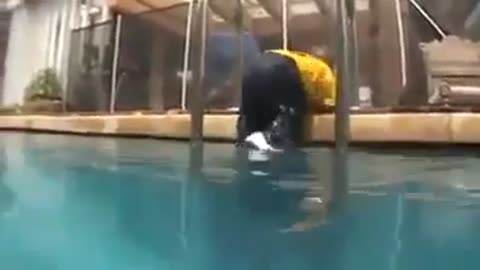 Baby falls off in a swimming pool😧