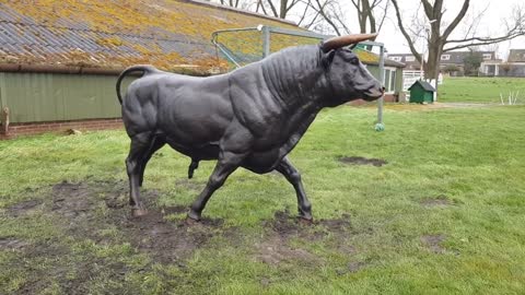 Levensgrote stier beeld in brons _ Bronzen Beelden Winkel