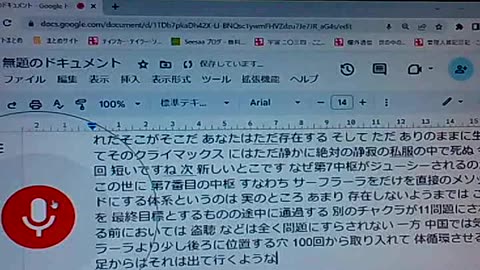 廃墟のブッダたち80 瞑想状態と思考