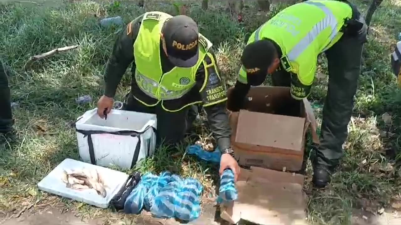 Incautación de cocaína