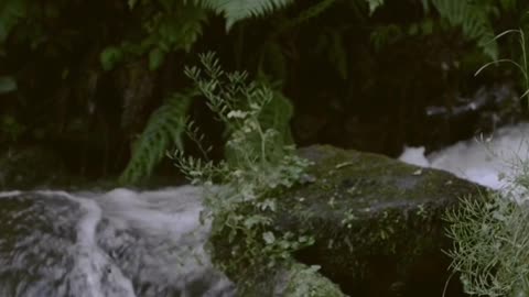Motivate Yourself in Minutes: Short Inspirational Clips🥰