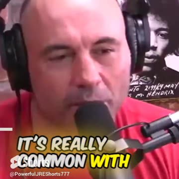 David Peters on the 'Echo Chamber' I #shorts I #viral I #shortsfeed I #shortsviral I #shortsvideo I #jre