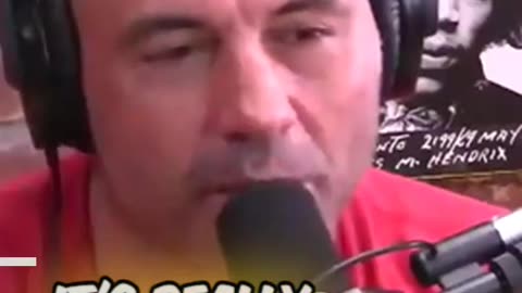 David Peters on the 'Echo Chamber' I #shorts I #viral I #shortsfeed I #shortsviral I #shortsvideo I #jre