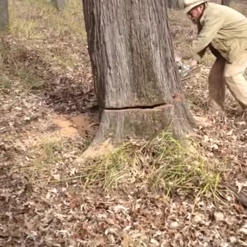 Wait till the end... :)