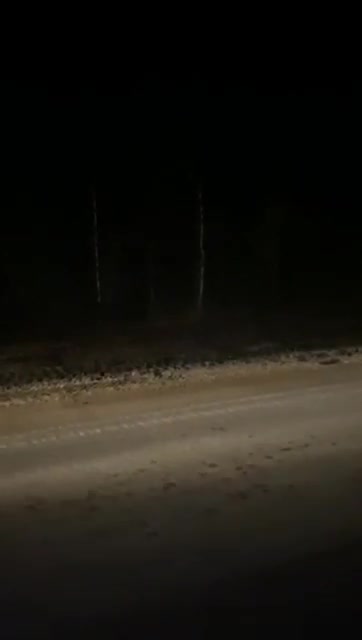 Ramzan Kadyrov: "Do you feel the spirit of the patriots who are going to defend the Ukrainian