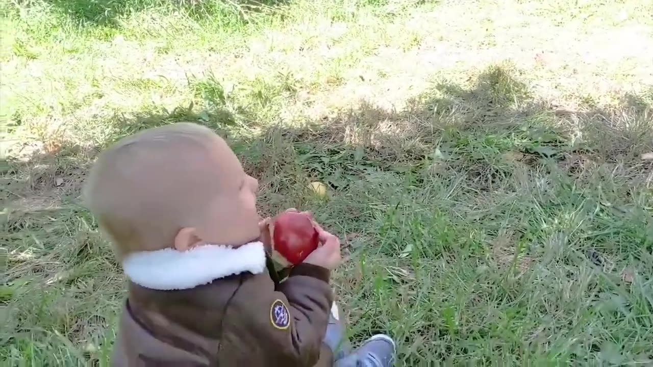 10 Minutes Funniest Moments with Babies Laughing Funny Baby Videos