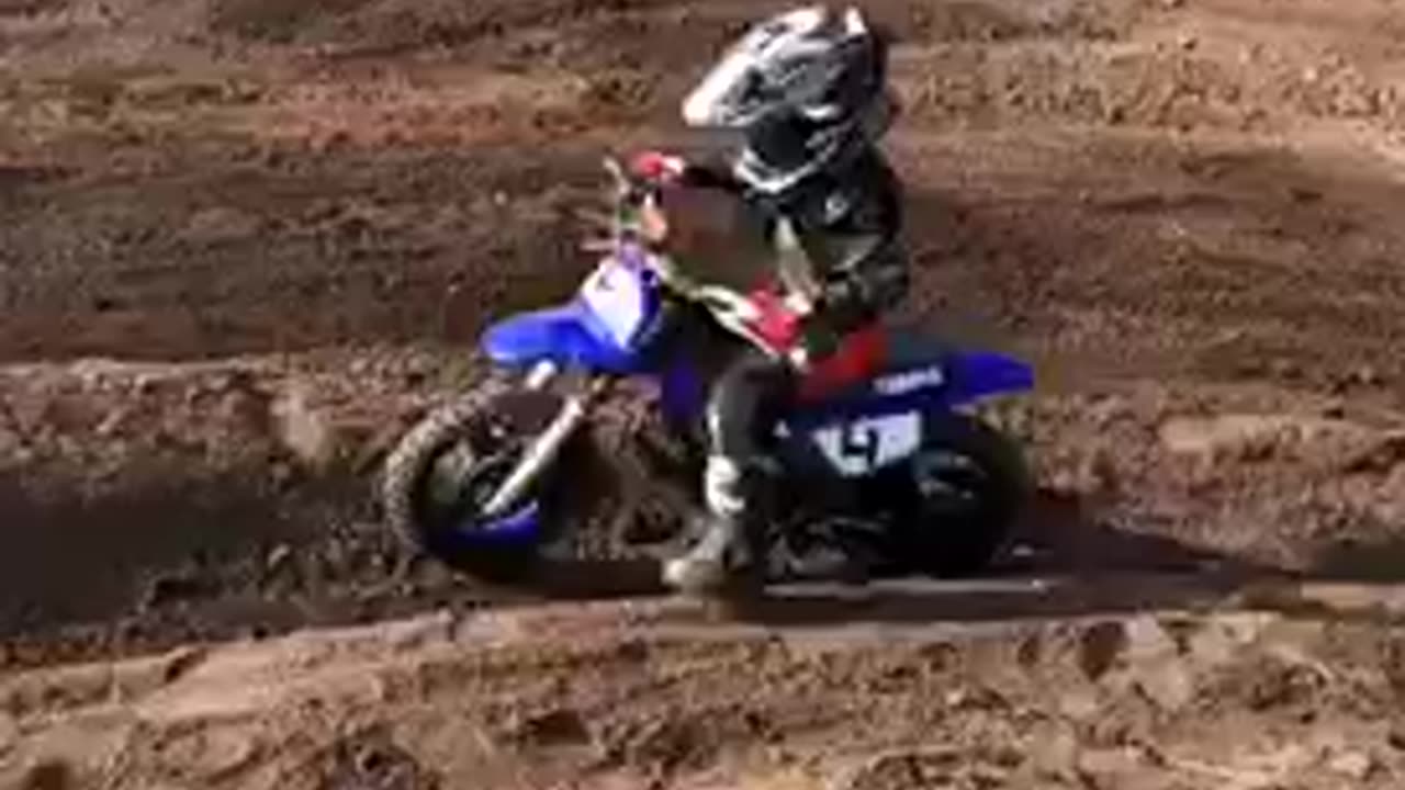 Wp50💥