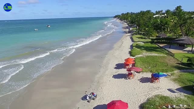 The Best Beaches in Porto de Galinhas, Pernambuco, Brazil