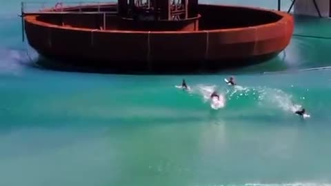 Here's something for the land locked surfers. 😳😱🤪