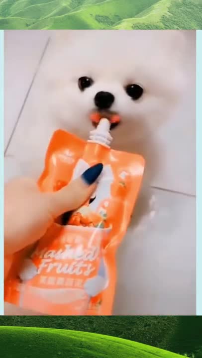 Wow very nice dog and kid Dog funny video