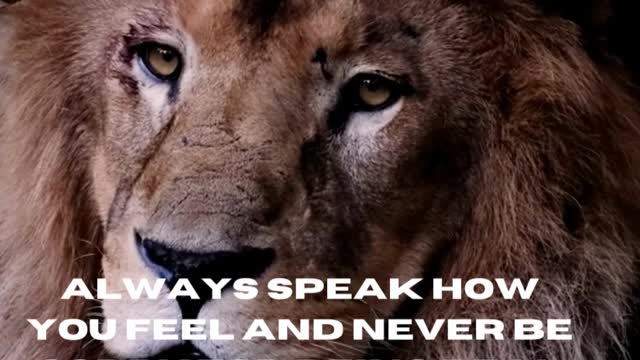ALWAYS SPEAK HOW YOU FEEL AND NEVER BE SORRY FOR BEING REAL