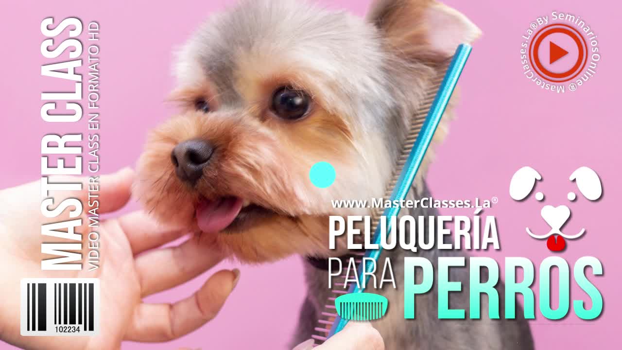 Peluqueria para perros