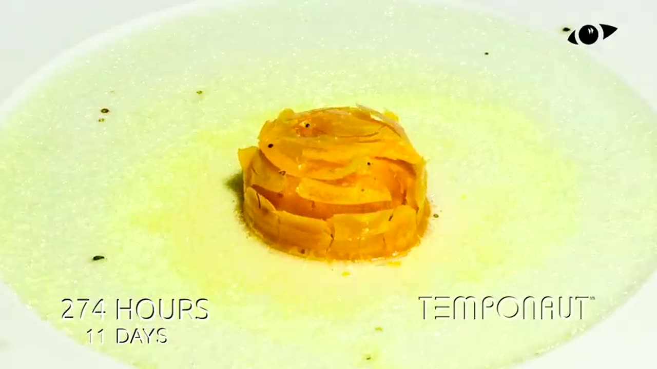 Egg Time-Lapse