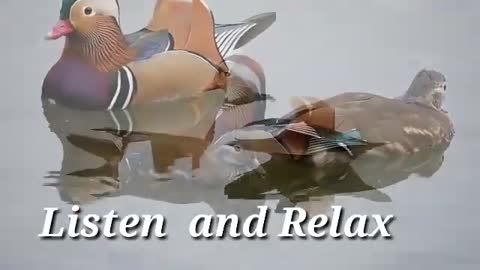 Relaxing Music | Sleeping, Meditation, Stress Relief | [689] ⭐️