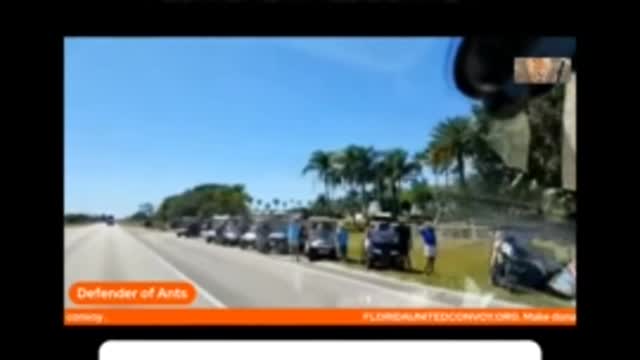 Florida comes out and shows support Florida style with tons of golf carts