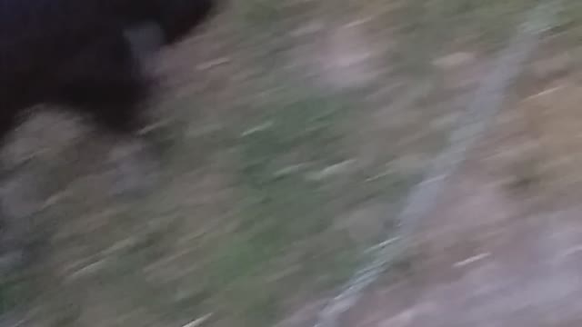 Riunione di famiglia