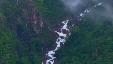 Splendor Unveiled: Wayanad's Stunning Waterfalls at Nadukani Estate