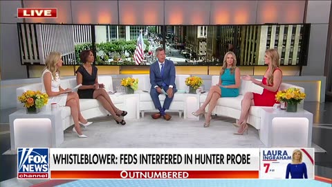 Kauleigh McEnany: This was bombshell testmo in The heart Biden probe