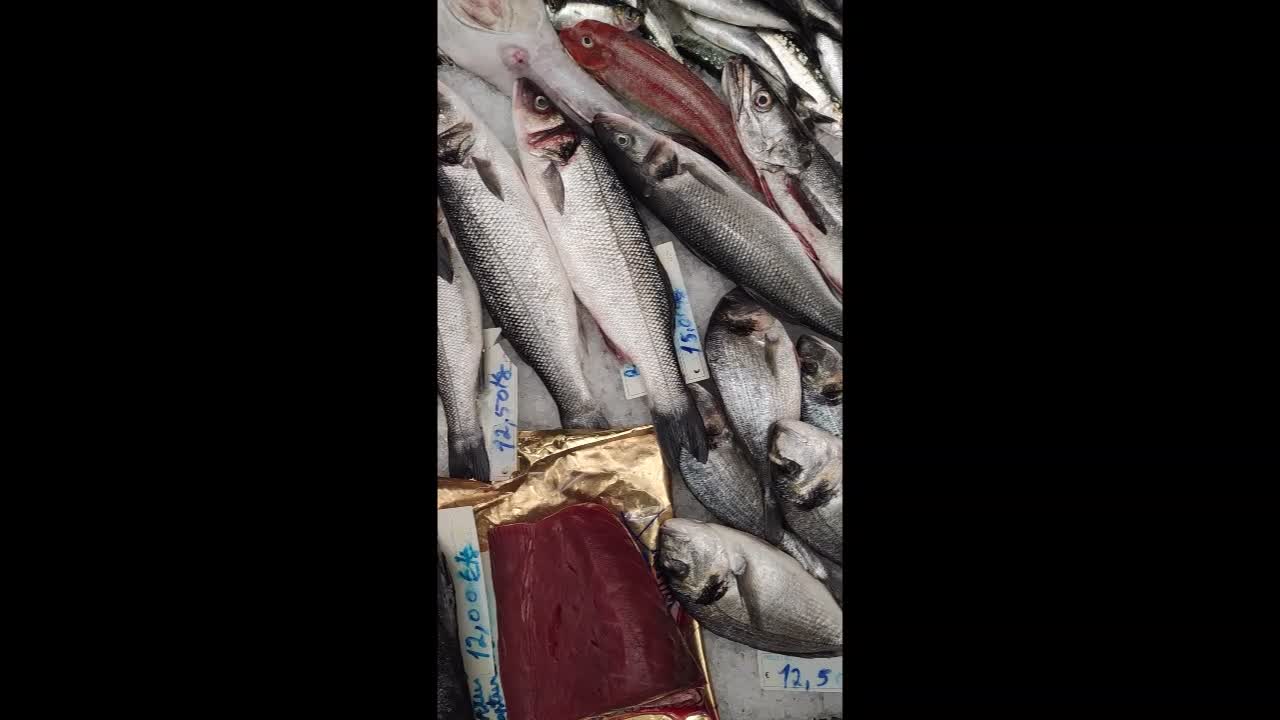 A tour of the fish market