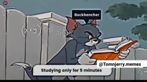 exam funny moments