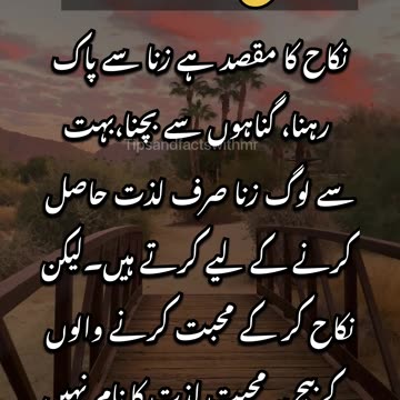 Importance of Nikkah | Importance of Marriage #shorts #viral #islamic #ytshorts #youtubeshorts