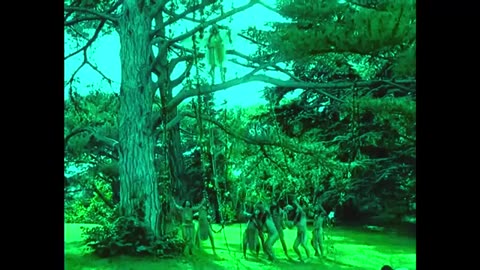 Wild happiness, sadness and joy