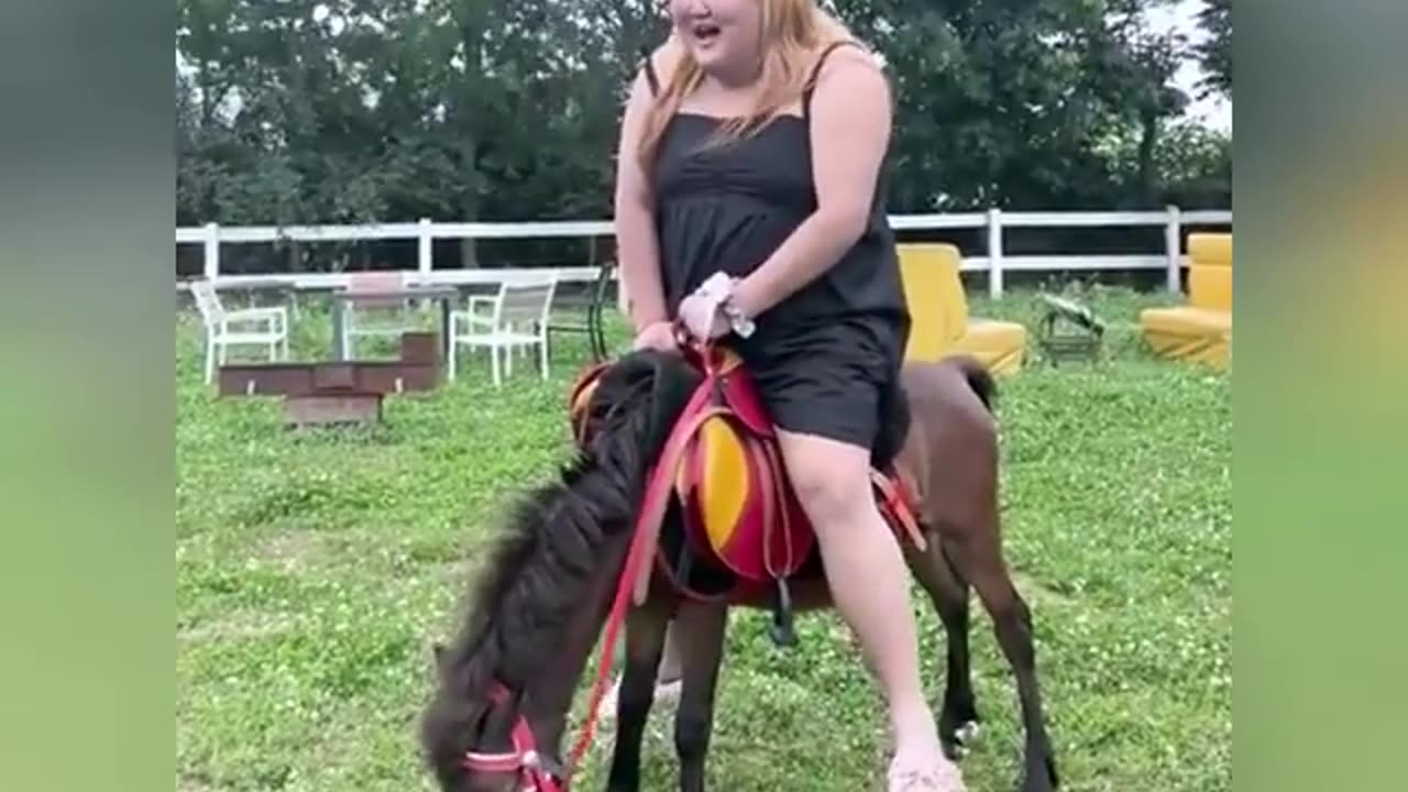 Encounter with funny animals 🤣🤣