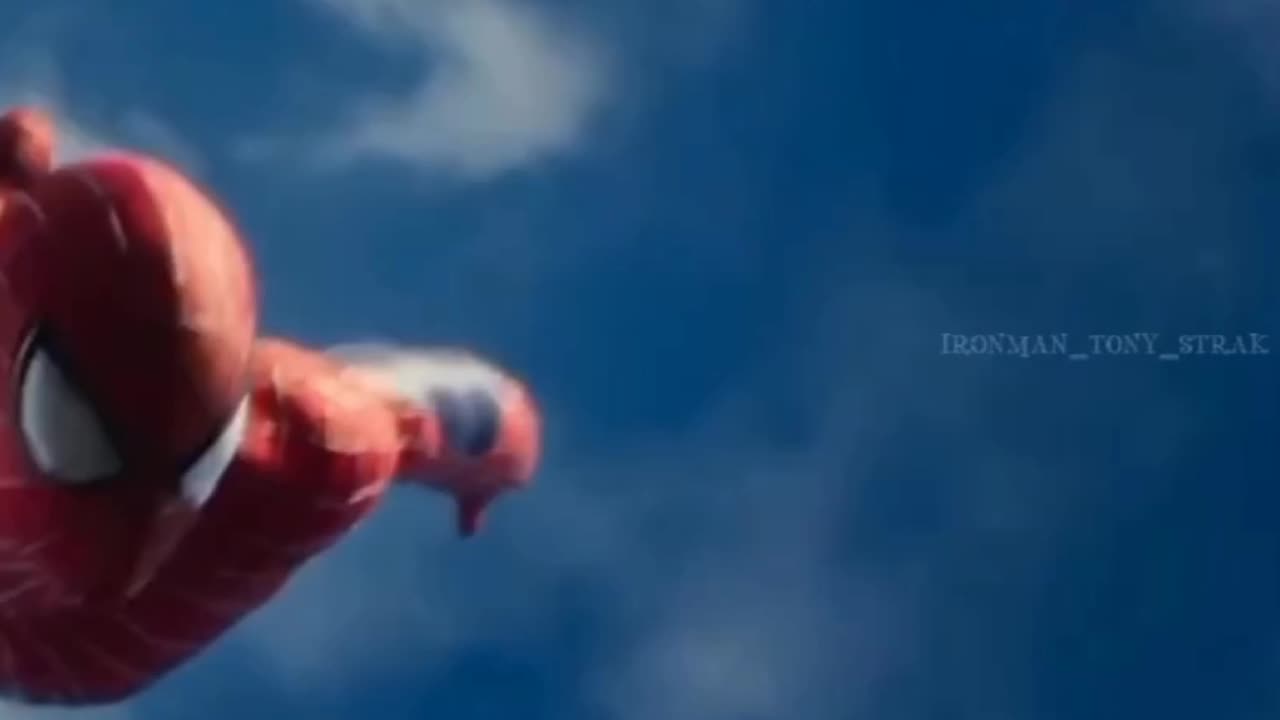 Spiderman Fans Special