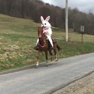 A műkarácsony letudva,haladjunk tovább,mert a NYÚL már elkezdett edzeni!!!