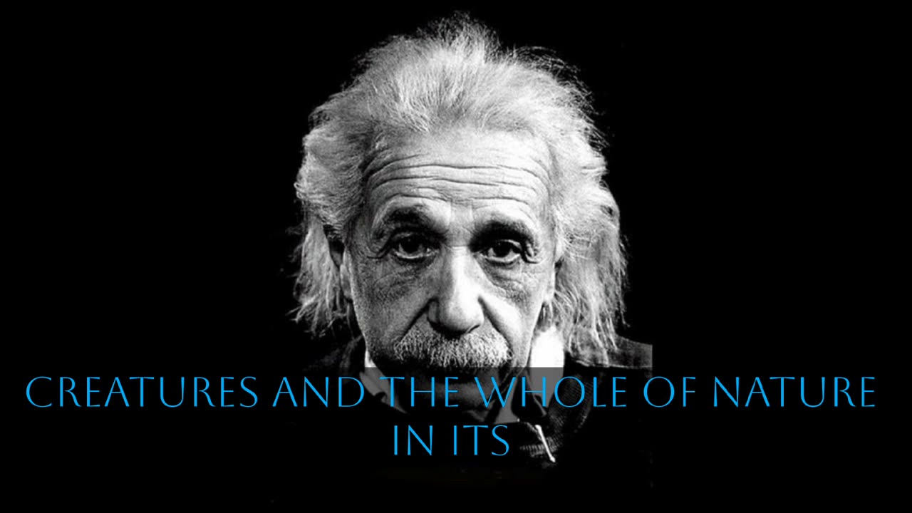 Albert Einstein quotes