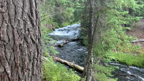 Central Oregon - Magnificent Views of Snaking Creek