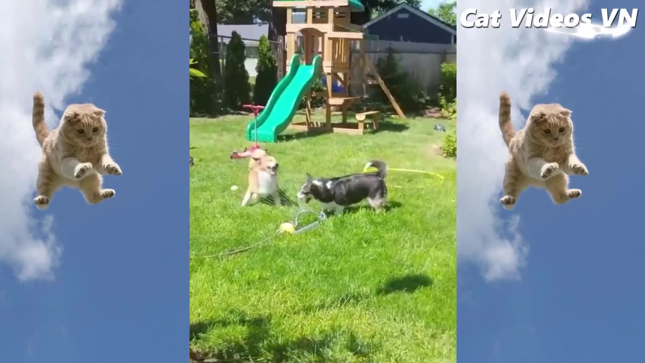 If you laugh start the video again
