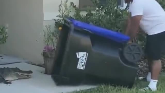 FLORIDA MAN FIGHTS OFF ALLIGATOR WITH TRASH CAN 🤣