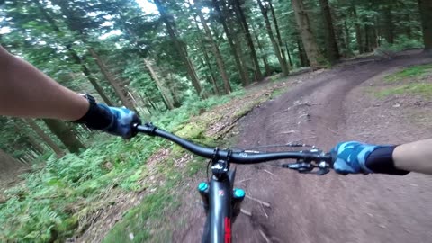 Forest of Dean - Endo Trail - FOD - 02 09 23