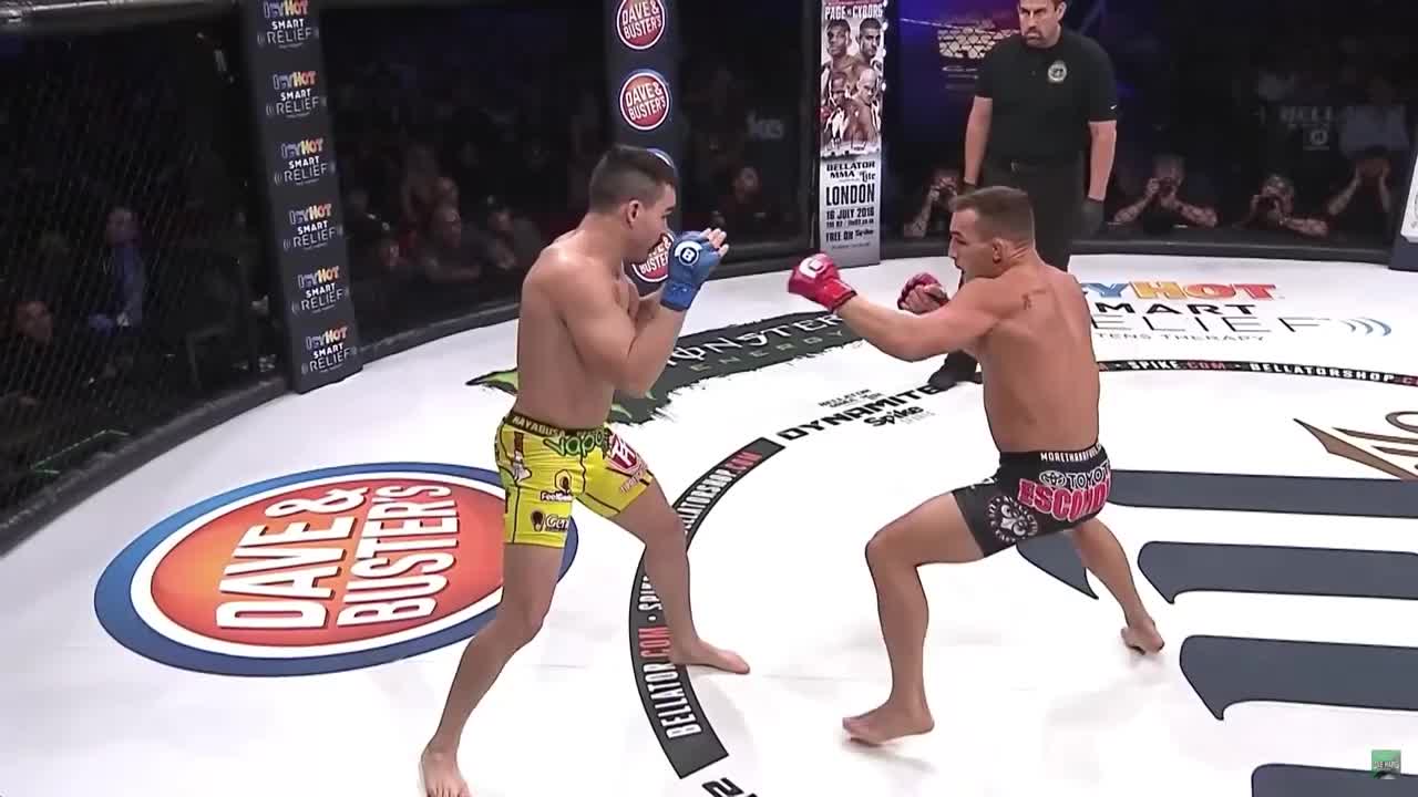 *Boxing, MMA, SlapFighting* *Carnage* 5 mins of Insane Knockouts