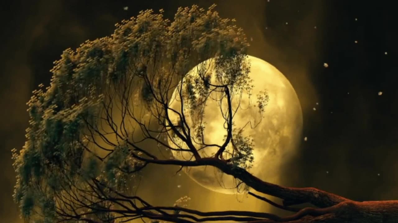 Mere Nishaan (main To Nahin hun insanon Mein bikata hun main to in dukaanon mein)#song#video#sadsong