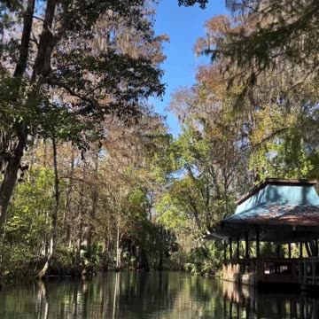 Florida's Crystal Clear Crystal River -- Let us get you there! Check our link in description